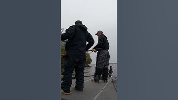 Oh GOD!  #bassfishing #fishing #shorts