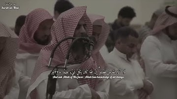 (والله يريد أن يتوب عليكم ويريد الذين ...) محمد اللحيدان سورة النساء