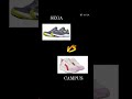 LEGENDARY SHOES 🎯.#viralvideo #motivation #bodybuilding #india #army #fitness #workout #sega #campus