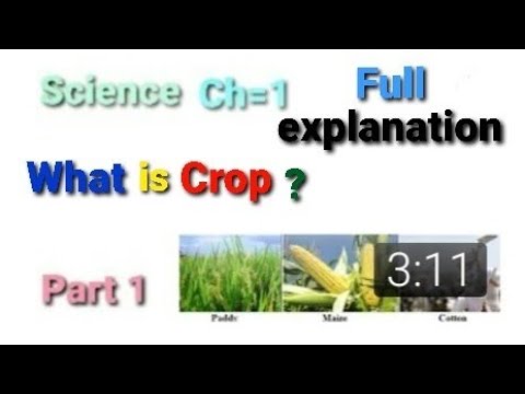 What is Crop ? Types of crops Science Ch1