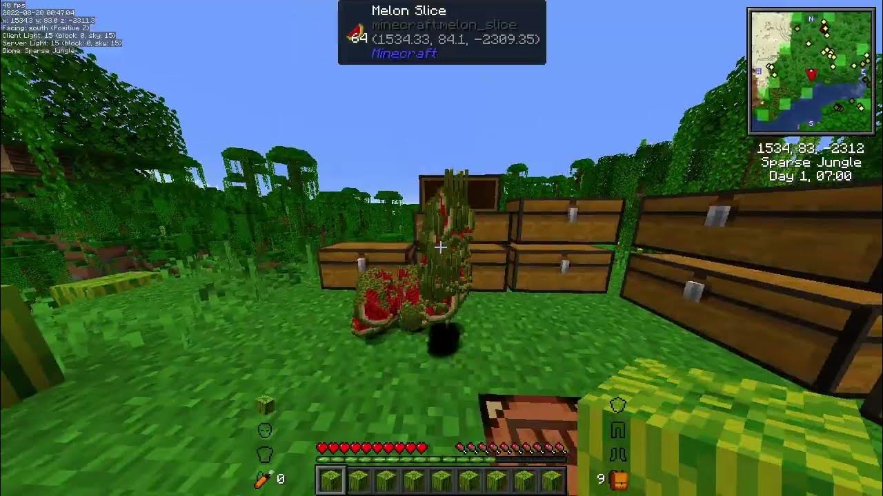 Inventory profiles next 1.16 5 forge Inventory profiles next 1.16 5 forge