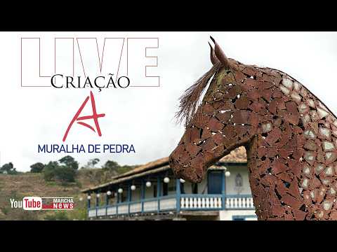 LIVE DE CRIAÇÃO - HARAS MURALHA DE PEDRA