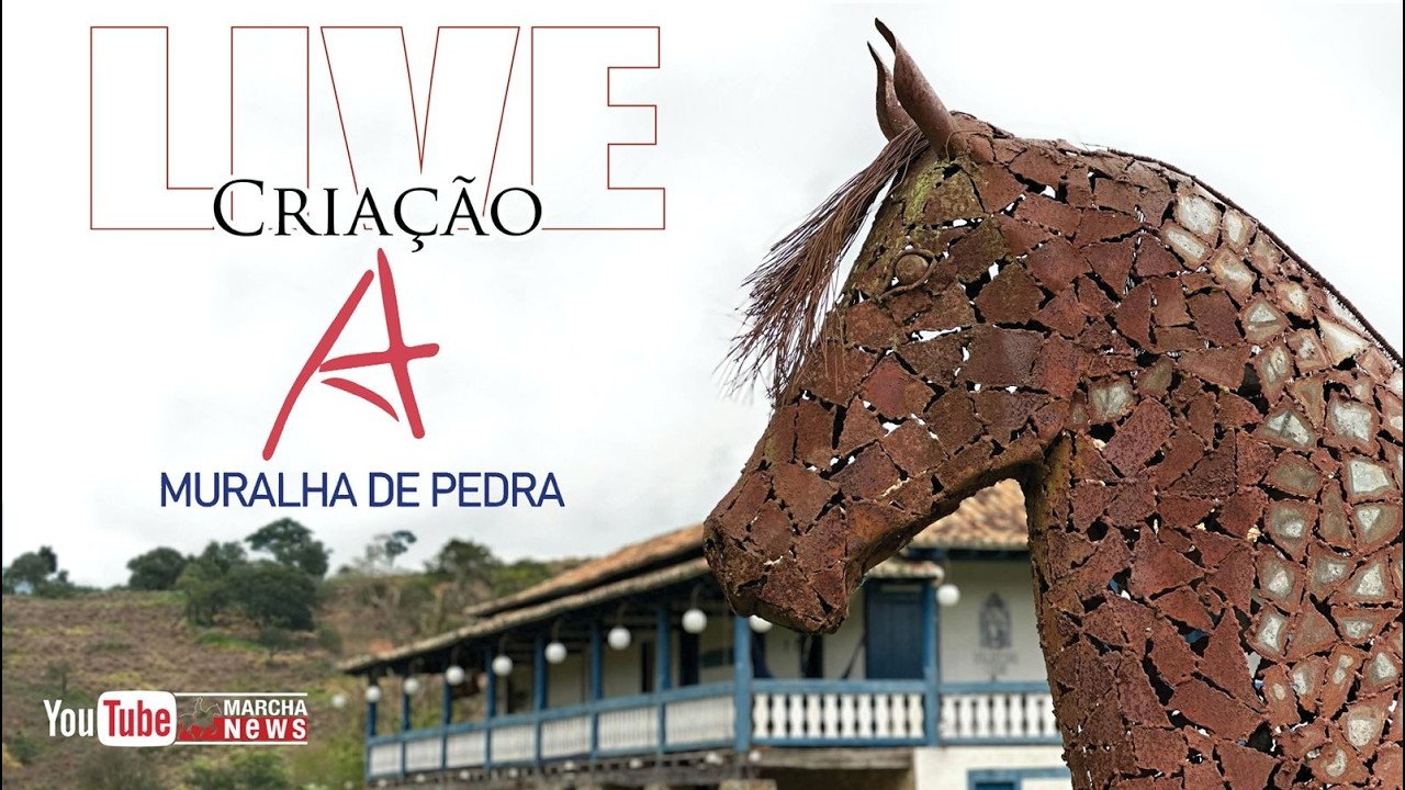 LIVE DE CRIAÇÃO - HARAS MURALHA DE PEDRA