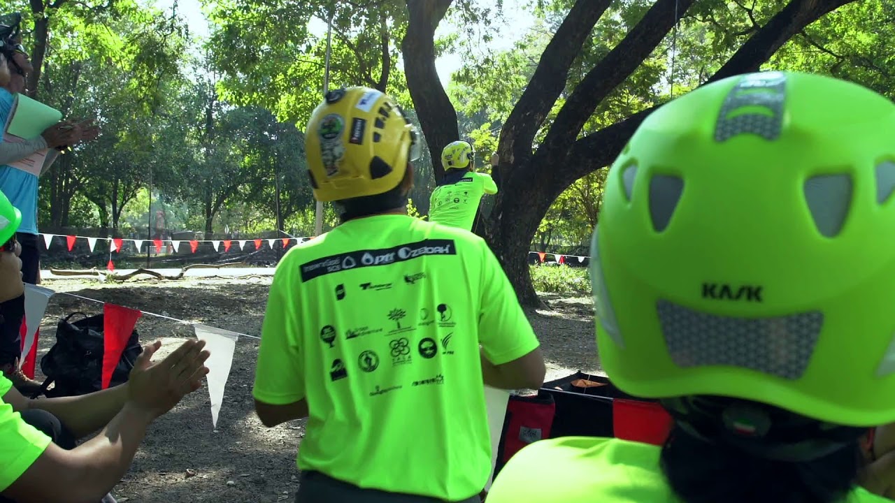 Thailand Tree Climbing Championship 2019 - YouTube