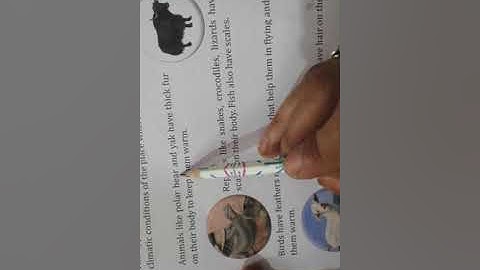 Evs Class-4 ,Lesson 5, Animals and Their Behaviour