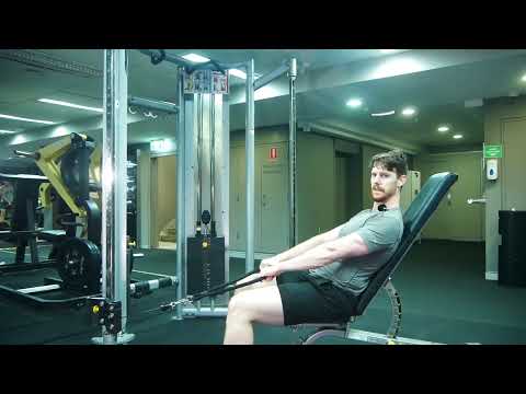 Seated Low Face Pull