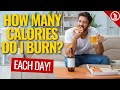 How Many Calories Do I Burn A Day? + Calorie Calculator For Weight Loss