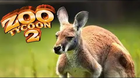 Red Kangaroo - Zoo tycoon 2 Exhibit Speed Build