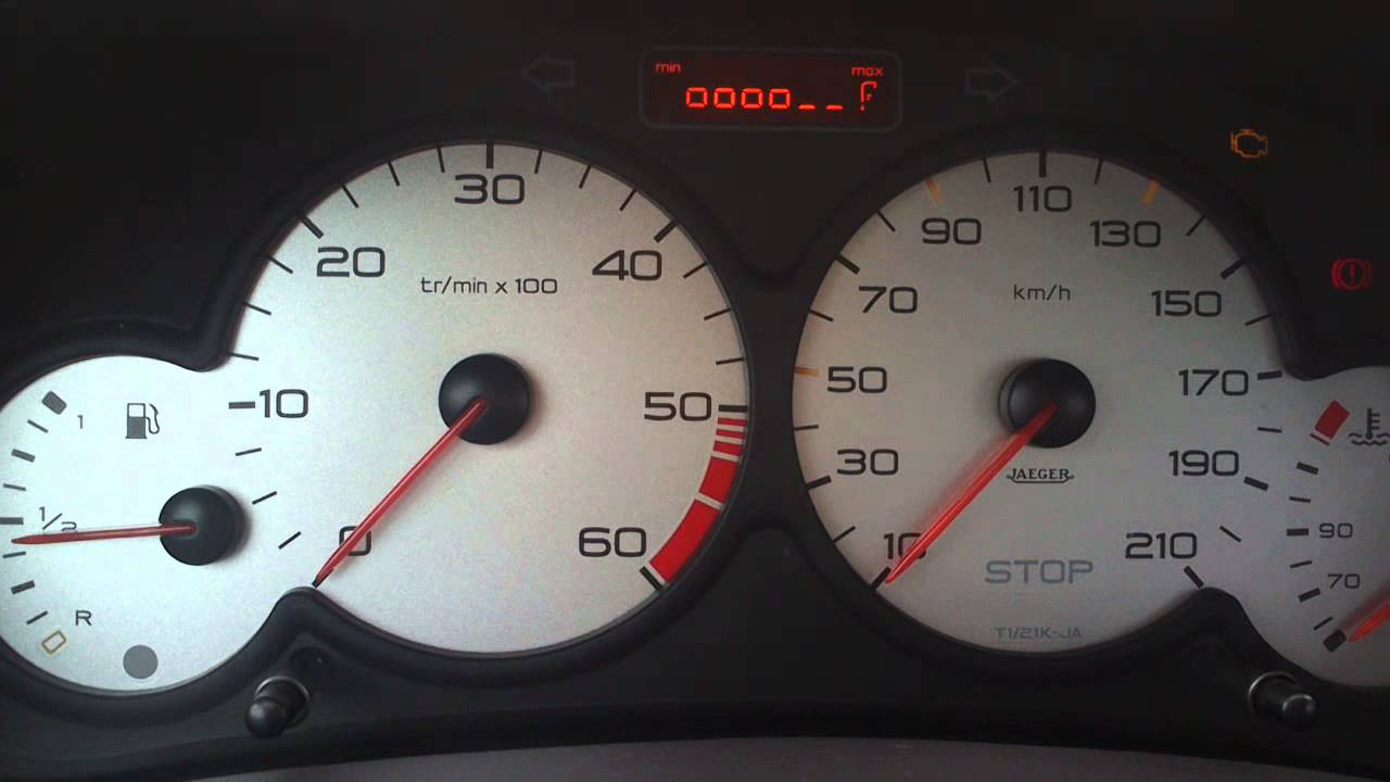 Peugeot 206 HDi 10*C cold start YouTube