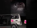 كفى ووفى كفى ووفى