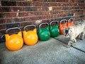 Beginner/Intermediate Kettlebell Complex & How To Choose A Good Kettlebell