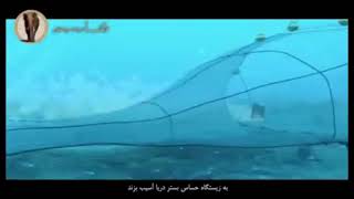 Dangers of bottom trawling for sensitive seafloor habitat, Iran