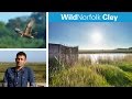 WildNorfolk Cley Marshes