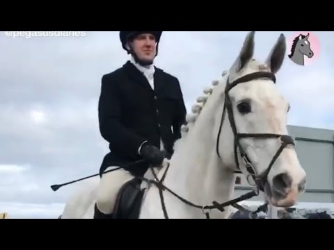 Video: Irish Hunter Horse Plemeno Hypoalergenní, Zdraví A životnost