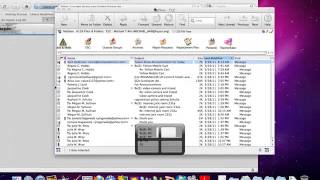 Organizing Open Windows: Exposé and Spaces