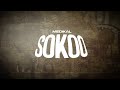 Medikal Sokoo Lyrics Video