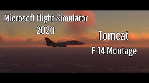 MSFS 2020 | Tomcat (F-14 Montage)