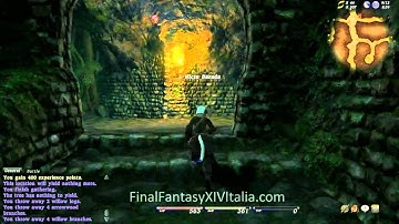 Final Fantasy XIV - The Tam-Tara Deepcroft
