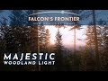 Exploring the medieval forests of Rattay.