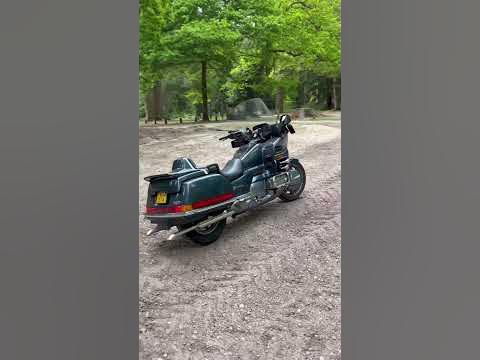 custom goldwing bagger