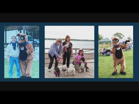 Spca Corning Ny