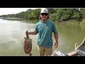Soft Shell Turtle Catch Clean Cook
