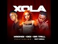 Msongi X Cici X Sir Trill Feat DotMega   Xola Official Audio