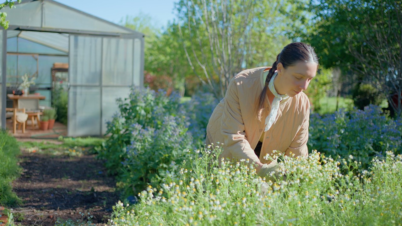 Vida sencilla en el campo 🧺
