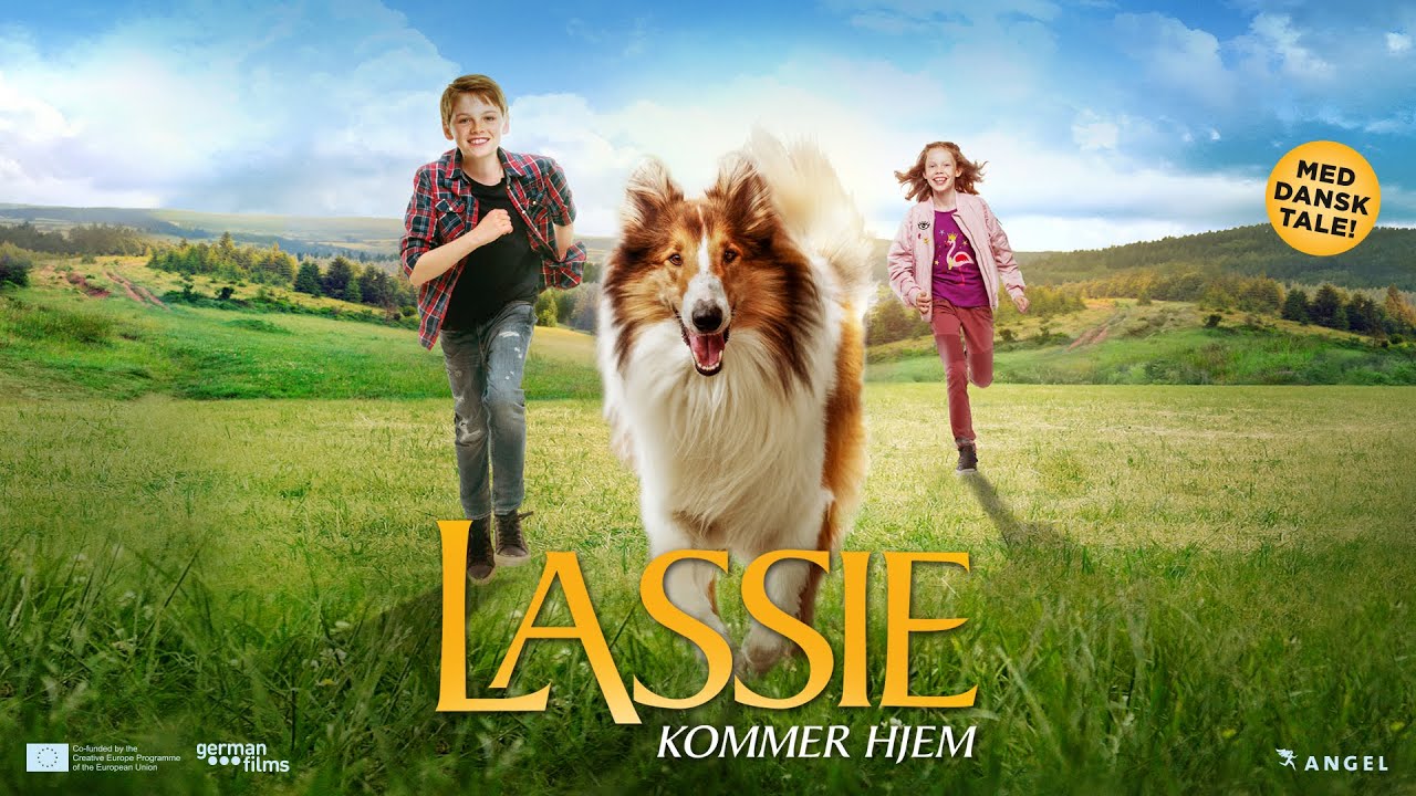 Jämförelse av funktioner mellan Hedvig och Lassie