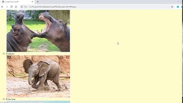 My first web Page on Animals and Birds