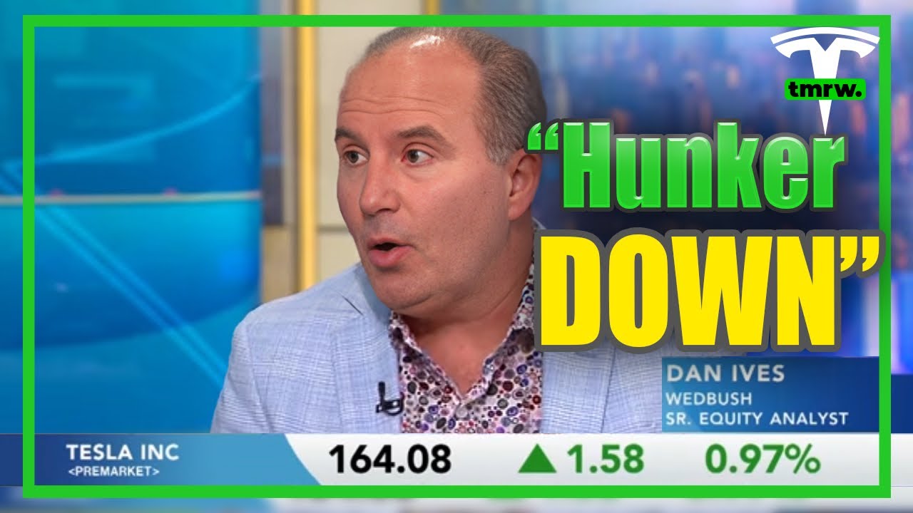 NEW: Dan Ives WARNING To Tesla SHAREHOLDERS - YouTube