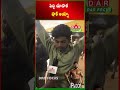 Ram Charan’s Peddi Public Talk | First Reaction Out | Latest updates | DAR FOCUS