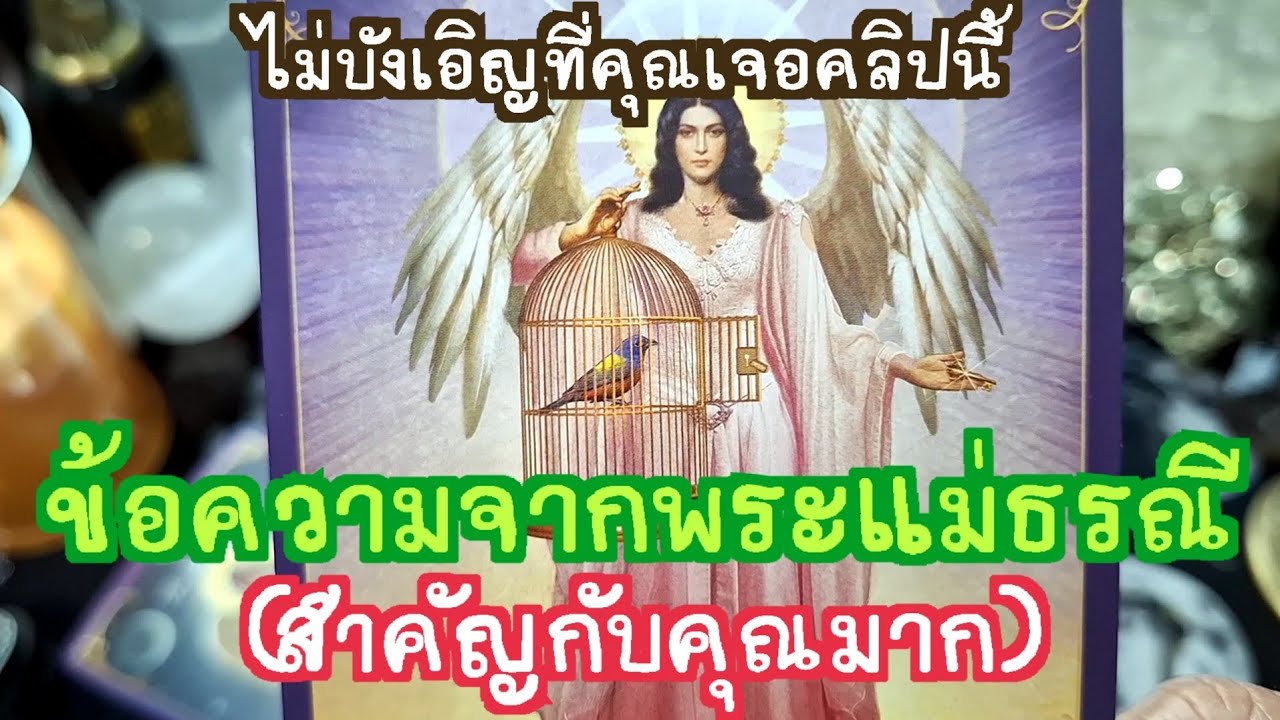 🌍✨️ ข้อความจากพระแม่ธรณี(สำคัญกับคุณมาก)✨️🌍#ไพ่ทาโรต์ #ไพ่ยิปซี #แม่หมอชุลีกร #ดูดวงไพ่ยิปซี 