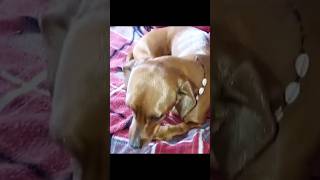 Glitter Magic  Watch Tiny Sparkles Come To Life