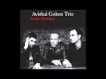 Avishai Cohen - Seattle