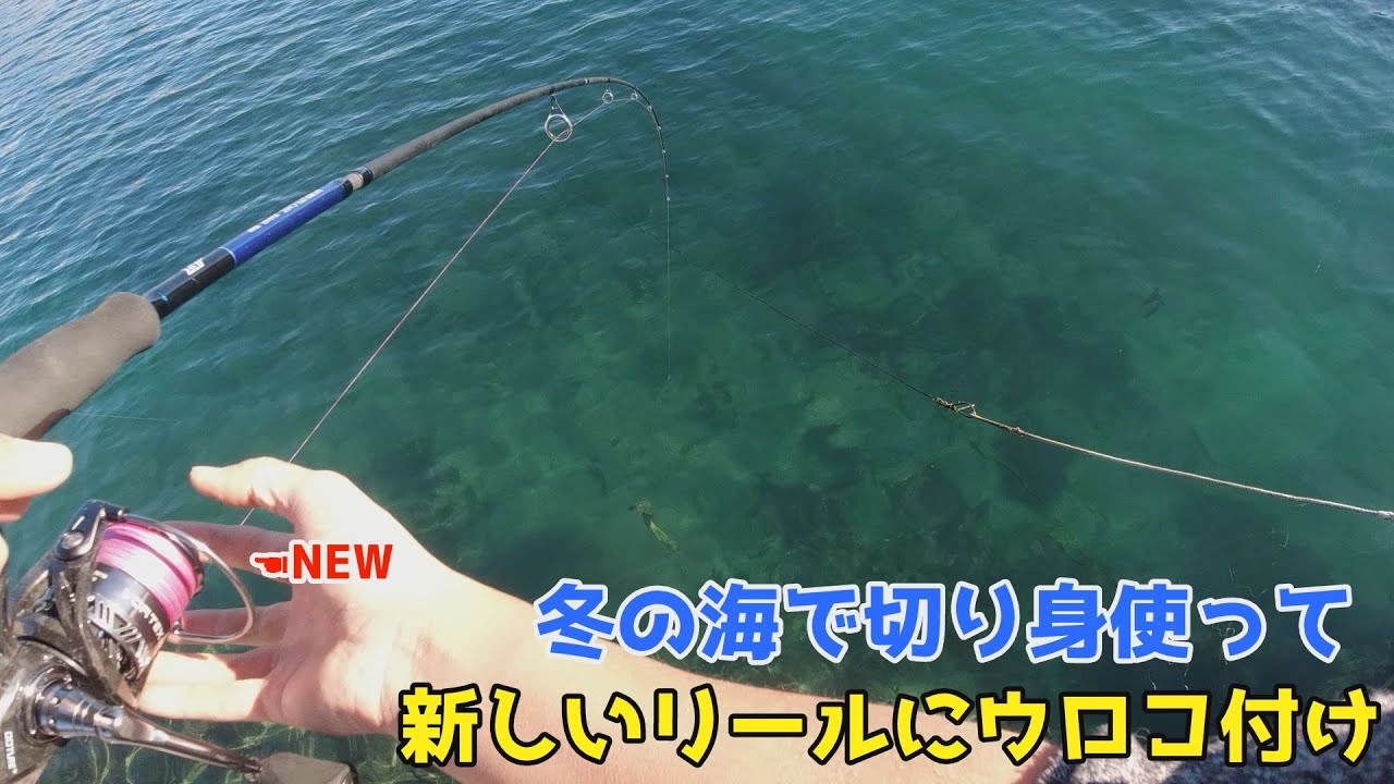 冬の海で切り身使って新しいリールにウロコ付け Youtube