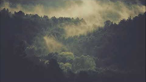 تلاوة ترق لها القلوب(360P)