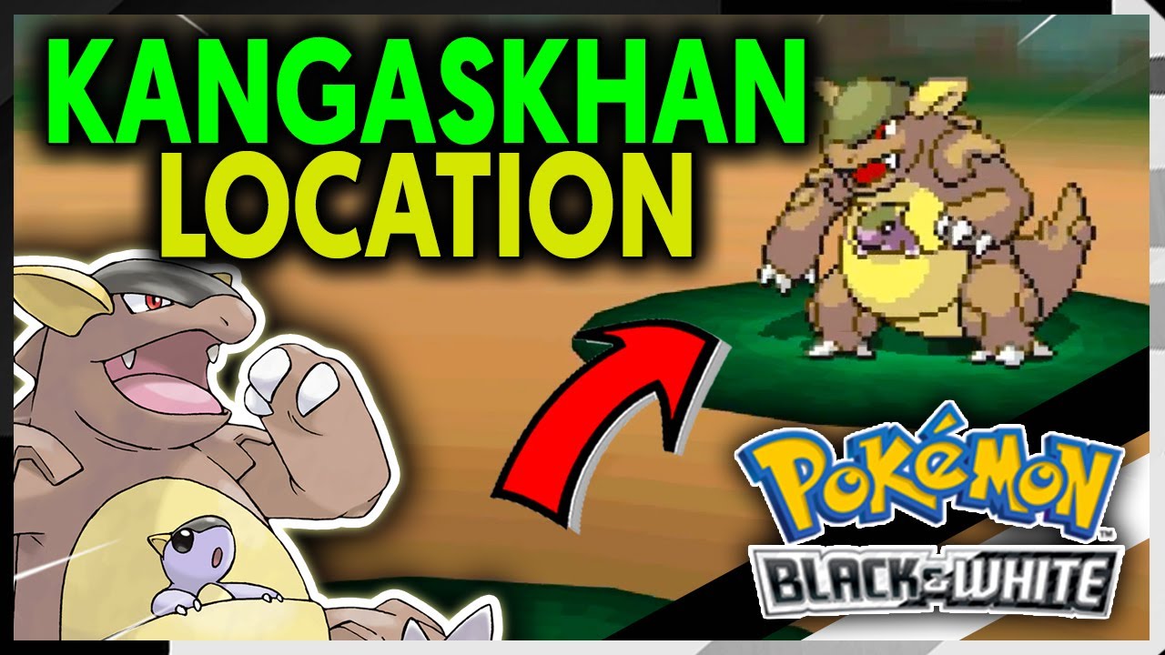 17 Facts About Kangaskhan 