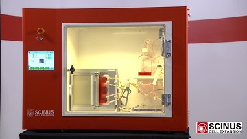 SCINUS: The outside of the system