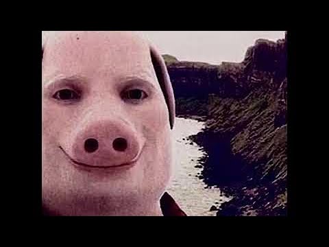 The true story behind John Pork #johnpork #johnporkiscalling #storu #v, john  pork scary