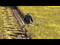 2015 稲刈り　Japanese harvesting of the rice