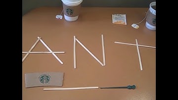 SOMETHING  STRANGE Bruno Latour