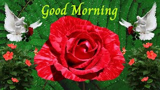 चुपके से आकर इस दिल में ❤️ good morning shayari🥀good morning picture🌹Rose ka photo🌷 Love shayari || screenshot 5