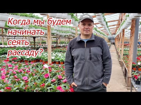 Когда мы будем сеять  рассаду в этом году. Примерный план.