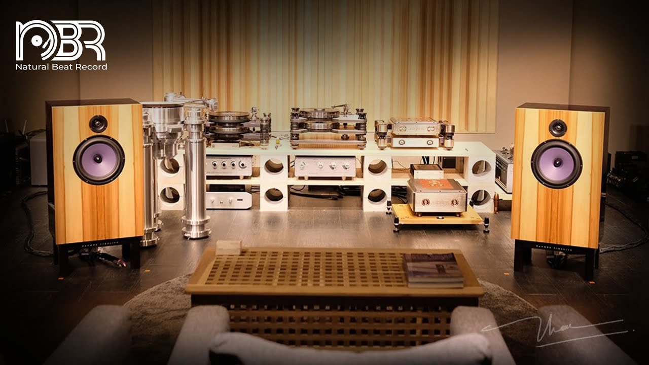 Deep Bass & Best Voices Hi Res Audiophile Test Natural Beat Records