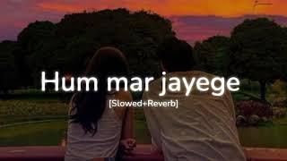 Hum mar jayenge (Slowed+Reverb) ~ Arijit Singh, Tulsi Kumar Thumb