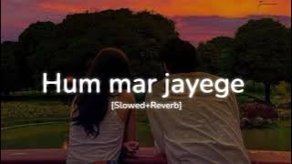 Hum mar jayenge (Slowed Reverb) ~ Arijit Singh, Tulsi Kumar