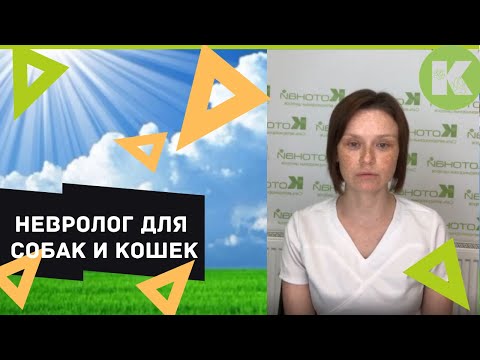 Когда собакам нужен невролог