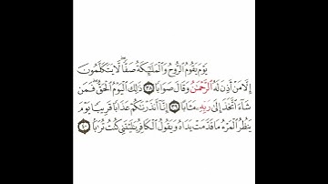سورة النبأ 6 القسم السادس تكرار كيفي من .. يوم يقوم الروح .. إلى ..   ترابا