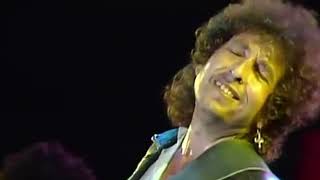 Bob Dylan - Concert Farm Aid 1985